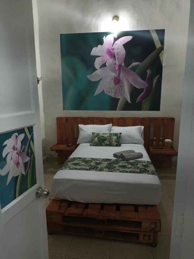Hospedajes El Jardin Envigado Kültér fotó